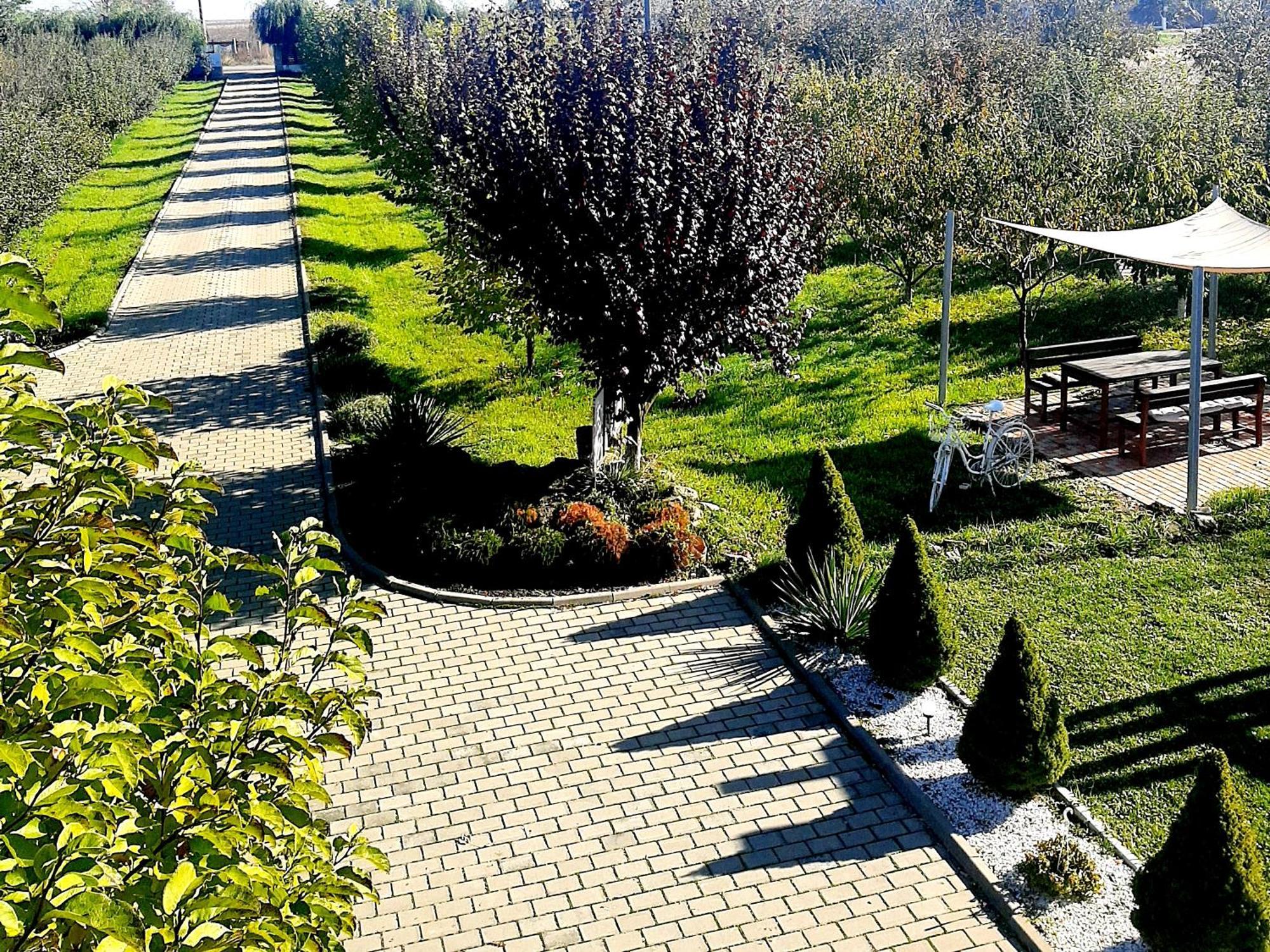 Hotel Dor De Casa Doljesti Exterior foto